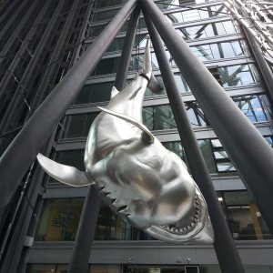 Stainless steel metal hanging shark sculpture