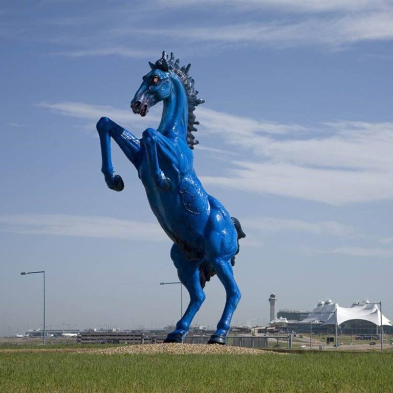 Blue Mustang Sculpture in fiberglass showing a rearing blue horse