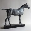 Bronze Horse Anatomy Sculpture showing skeletal shape and muscular detail,