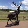 Large metal Elk Statue bronze artwork showing a majestic elk standing proudly on a rock with detailed antlers and muscular body